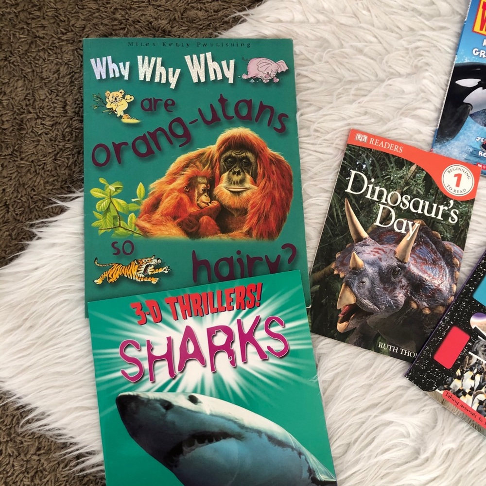 Set of 13 children learning books, nature - Picture 2 of 7